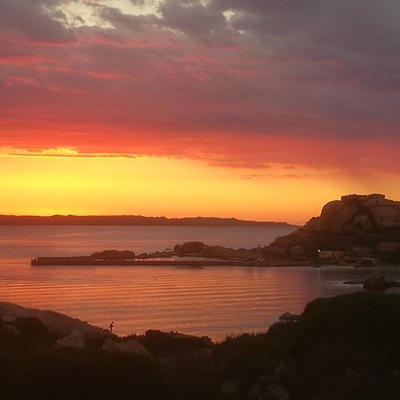 Appartamenti Crocetta La Maddalena  Habitación foto